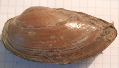 PB080058.JPG