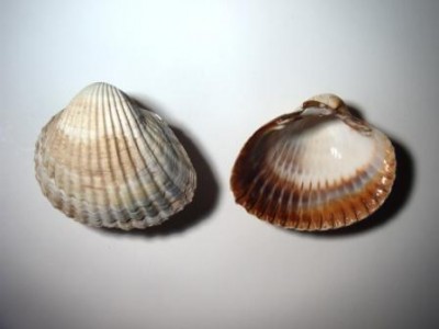 110.jpg