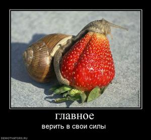 382056_glavnoe.thumbnail.jpg